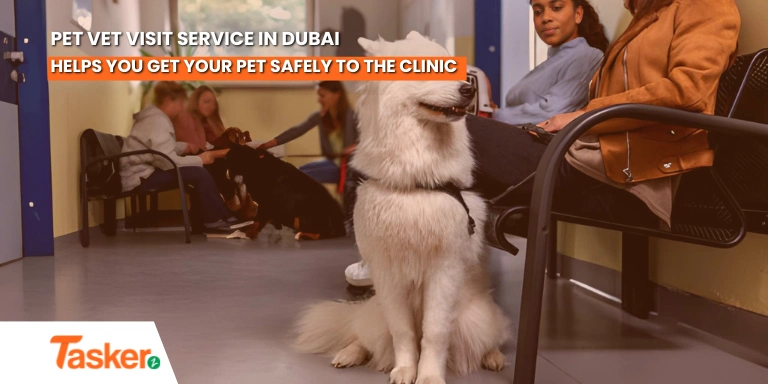 Pet Vet Visit Service in Dubai Taskerz Helps You Get Your Pet Safely to the Clinic