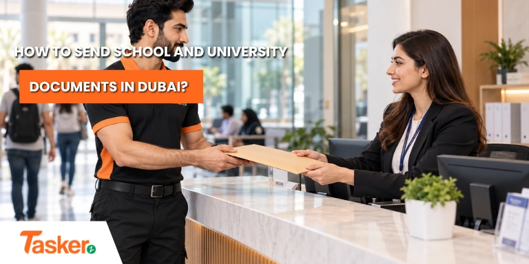 School and University Document